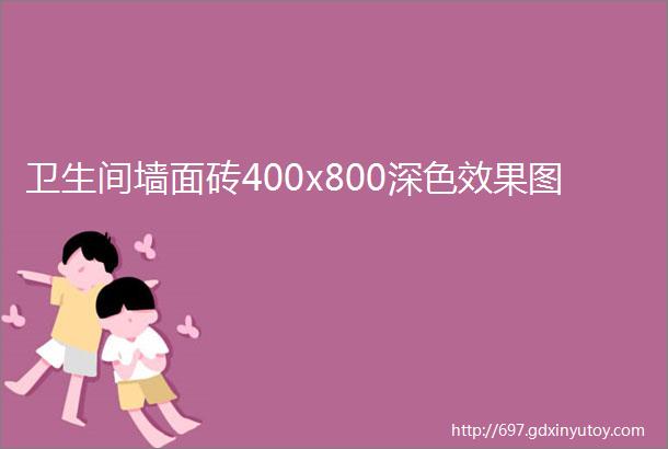 卫生间墙面砖400x800深色效果图