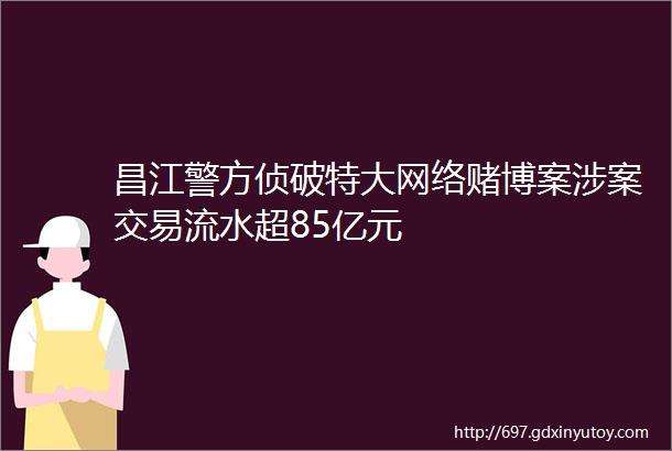 昌江警方侦破特大网络赌博案涉案交易流水超85亿元