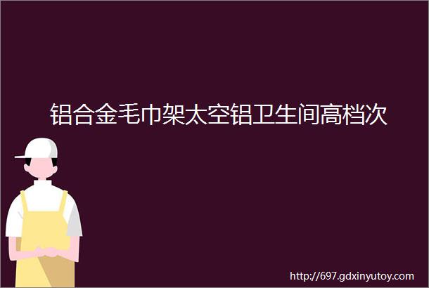 铝合金毛巾架太空铝卫生间高档次